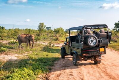 Güney Afrika | 7 Gece | İstanbul Çıkış | THY	