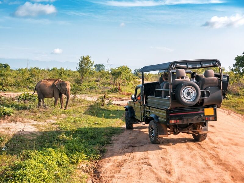 Güney Afrika | 7 Gece | İstanbul Çıkış | THY	