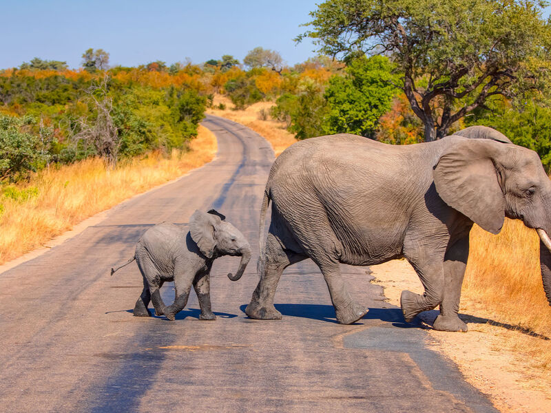 Güney Afrika | 7 Gece | İstanbul Çıkış | THY	